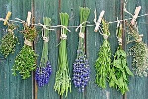 bylinky k léčbě plísní nehtů na nohou